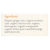 Rishi Tea Bag - Turmeric Ginger - Case of 6 - 15 Bags